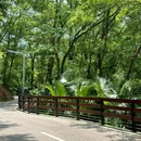蠄蜍石 - 深圳市旅游 缩略图 7