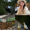 泰华梧桐岛 - 深圳市旅游 缩略图 1