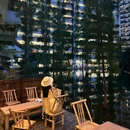 泰华梧桐岛 - 深圳市旅游 缩略图 5