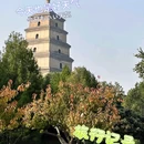 大慈恩寺 - 西安市旅游 缩略图 7