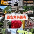 大兴善寺 - 西安市旅游 缩略图 1