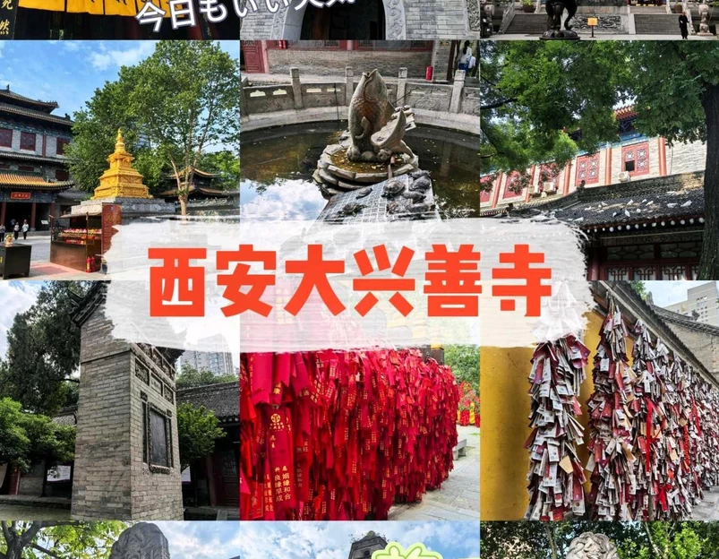 大兴善寺 - 西安市旅游 1