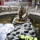 大兴善寺 - 西安市旅游 缩略图 9