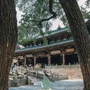 西安时尚大街 - 西安市旅游 缩略图 1