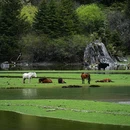 月亮湖 - 甘孜藏族自治州旅游 缩略图 4