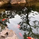 杭州龙湖滨江天街假日酒店 - 杭州市旅游 缩略图 2