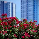 太阳宫消防救援站消防主题公园 - 北京市旅游 缩略图 2