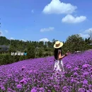 鹿山公园 - 重庆市旅游 缩略图 1