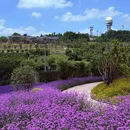 鹿山公园 - 重庆市旅游 缩略图 6