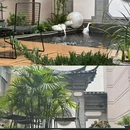 汐屿·山渡酒店 - 丽江市旅游 缩略图 5