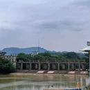 桑园围博物馆 - 佛山市旅游 缩略图 5