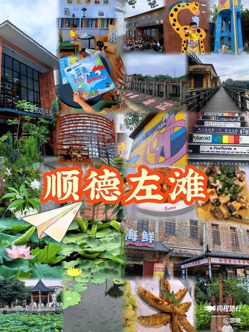 桑园围博物馆 - 佛山市旅游
