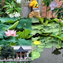桑园围博物馆 - 佛山市旅游 缩略图 6