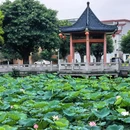 桑园围博物馆 - 佛山市旅游 缩略图 9