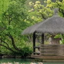 安吉竹博园 - 湖州市旅游 缩略图 6