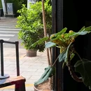 英祥商业广场 - 成都市旅游 缩略图 3