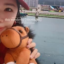 香港赛马会沙田马场 - 香港旅游 缩略图 1