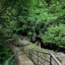 龙苍沟森林公园 - 雅安市旅游 缩略图 2