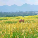 三板溪公园露营地 - 重庆市旅游 缩略图 4