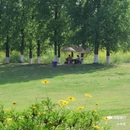 三板溪公园露营地 - 重庆市旅游 缩略图 1