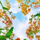 三板溪公园露营地 - 重庆市旅游 缩略图 6
