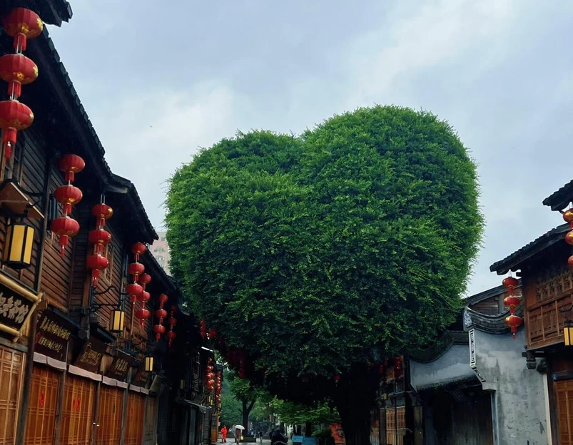 三坊七巷历史文化街区 - 福州旅游 1