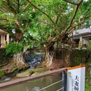 偏岩古镇 - 重庆市旅游 缩略图 4