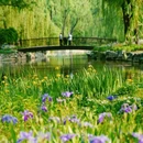 颐和园 - 北京市旅游 缩略图 8