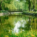 颐和园 - 北京市旅游 缩略图 9