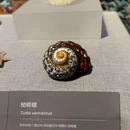 爱华酒店(海南琼海市中心高铁站万泉河店) - 琼海市旅游 缩略图 7