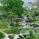 东莞植物园-儿童活动区 - 东莞市旅游 缩略图 4