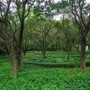 东莞植物园-儿童活动区 - 东莞市旅游 缩略图 6