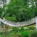 东莞植物园-儿童活动区 - 东莞市旅游 缩略图 8
