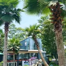 英祥商业广场 - 成都市旅游 缩略图 9