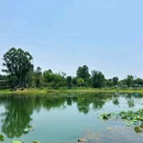 英祥商业广场 - 成都市旅游 缩略图 6