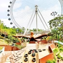 深圳市儿童公园 - 深圳市旅游 缩略图 9
