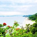 背仔角灯塔 - 深圳旅游 缩略图 5