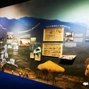 斐翎网红派对酒吧(四季城商业广场南区店) - 成都市旅游 缩略图 1