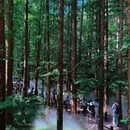 国家植物园 - 北京市旅游 缩略图 1