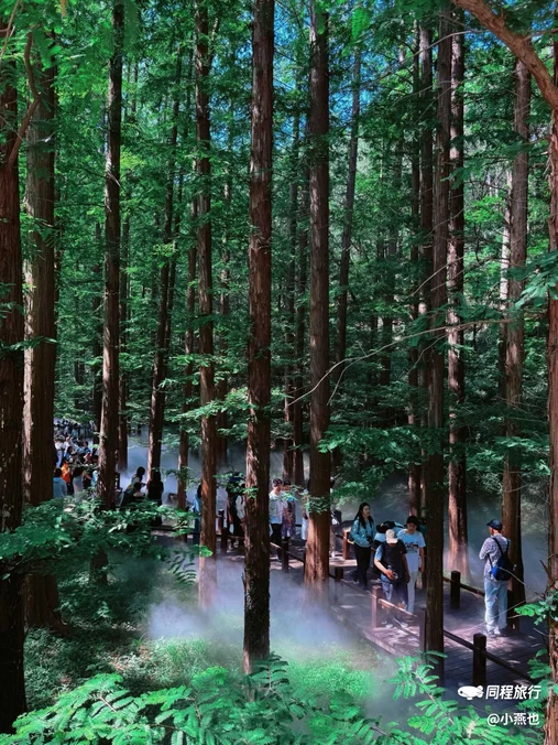 国家植物园 - 北京市旅游