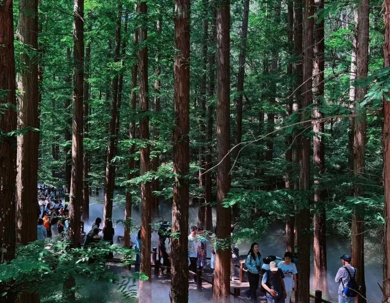 国家植物园 - 北京市旅游 1