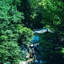 国家植物园 - 北京市旅游 缩略图 8