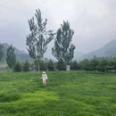 西单更新场 - 北京市旅游 缩略图 5