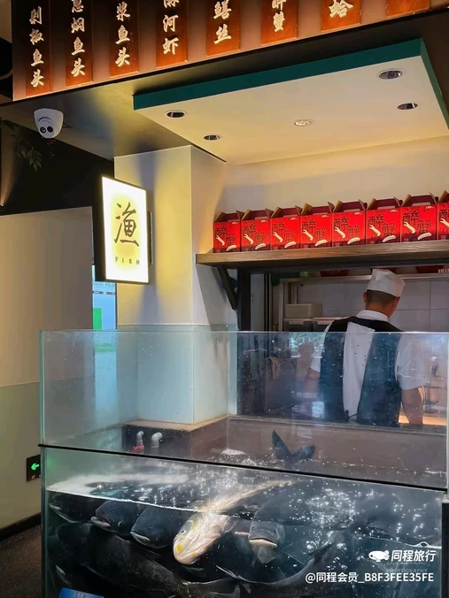 肯德基(星光店) - 杭州市旅游