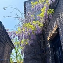 伍佑珠溪古镇文庙 - 盐城市旅游 缩略图 1