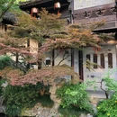 胡雪岩故居 - 杭州市旅游 缩略图 6