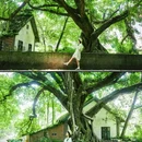 陈电村住宅35幢 - 重庆市旅游 缩略图 7