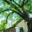 陈电村住宅35幢 - 重庆市旅游 缩略图 8