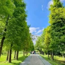 东风坝七孔浮桥 - 昆明市旅游 缩略图 7