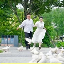 华侨城古劳水乡旅游区 - 江门市旅游 缩略图 2